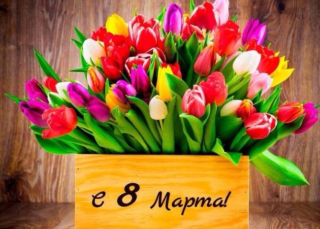 8-marta-5