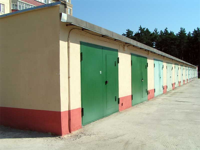 amnistiya