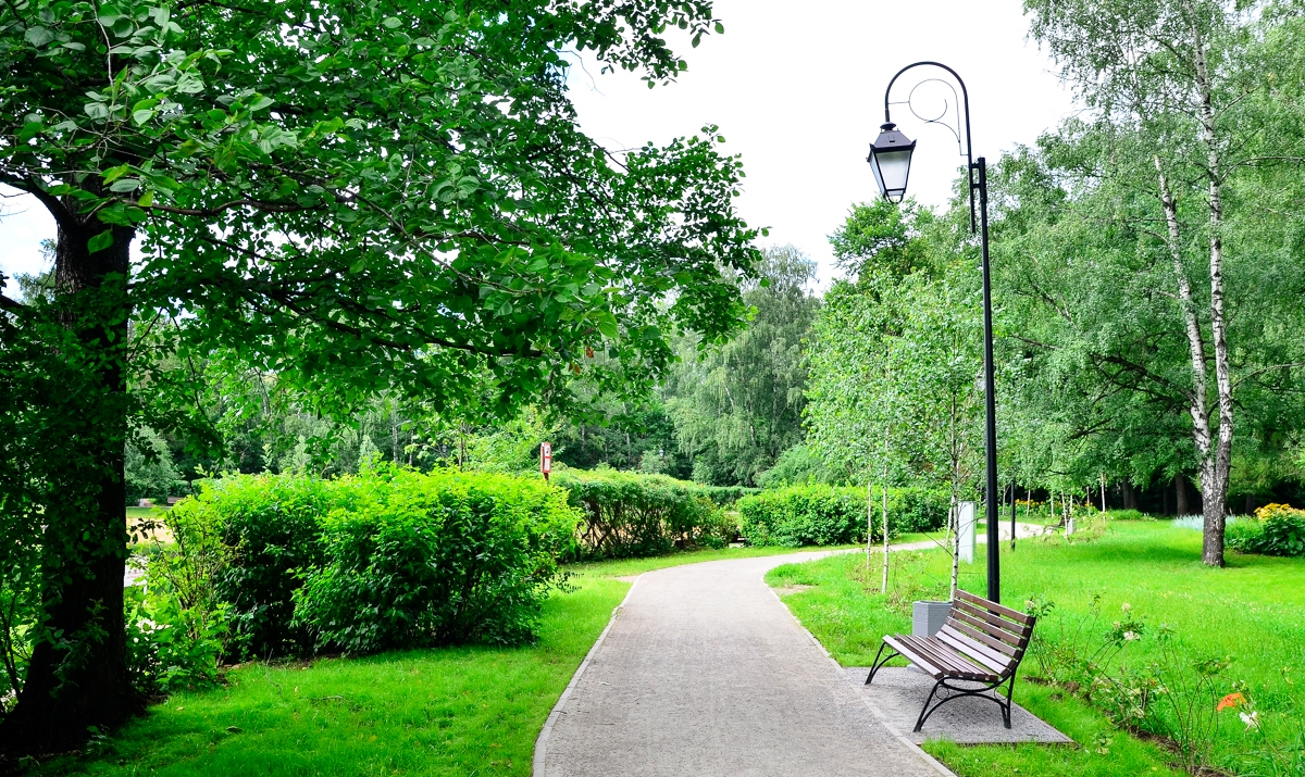 park-zelenyj