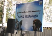 Приют 